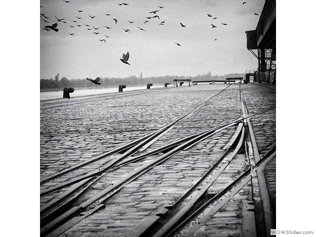 Pigeon Dock